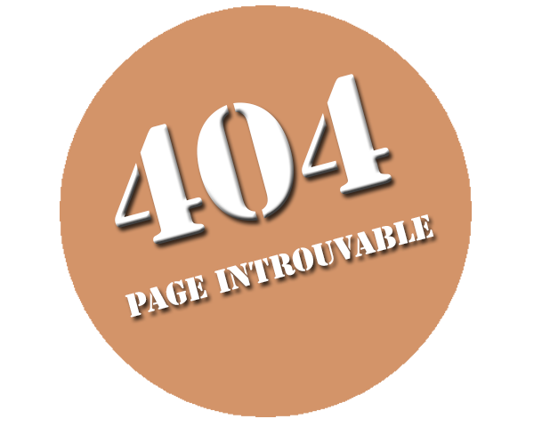 Erreur404